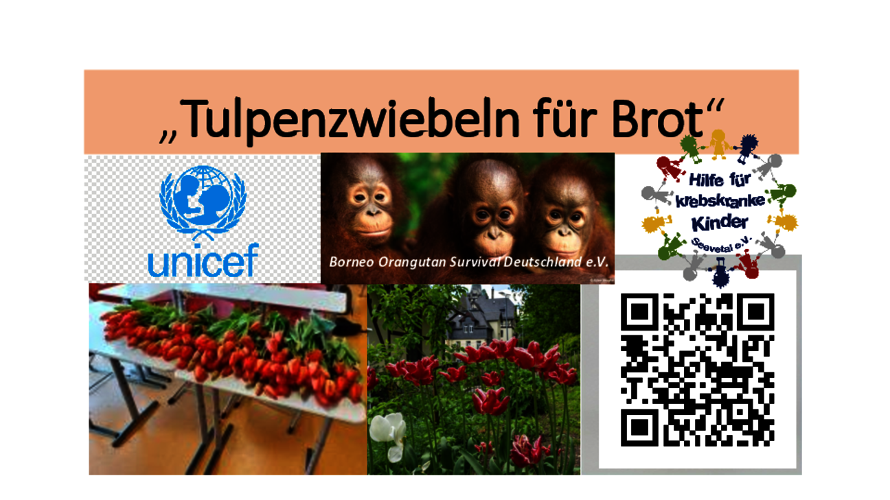 UN_Tulpenzwiebeln_neu