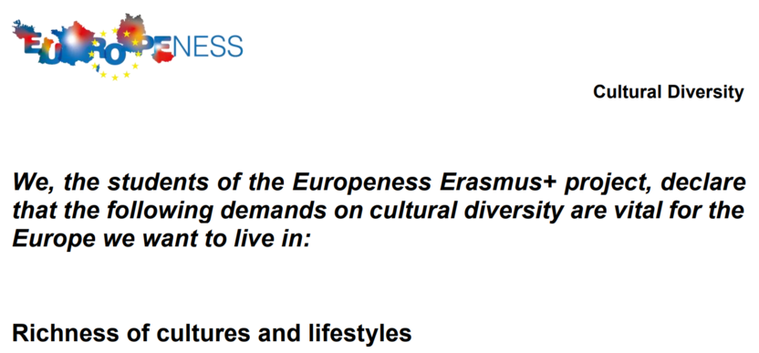 Erasmus-Manifesto-cultural-diversity